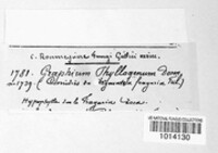 Image Associated With the Occurence